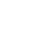 VMG logo